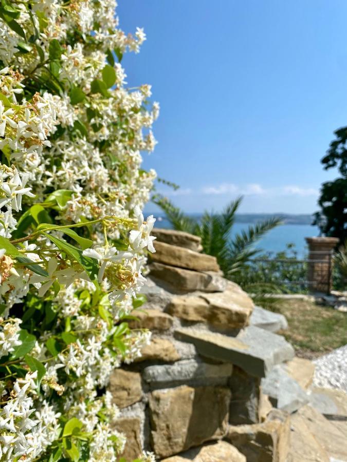 Sunvilla 科佩尔 外观 照片